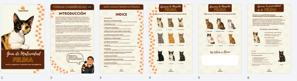 Guia de Maternidad Felina