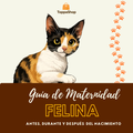 Guia de Maternidad Felina